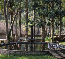 desentupidora almirante tamandare Pacotuba