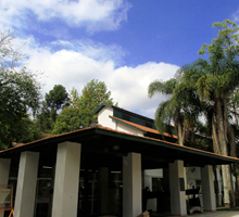 desentupidora araucaria Tindiquera