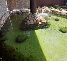 desentupidora Campo Magro Colônia Rodrigues